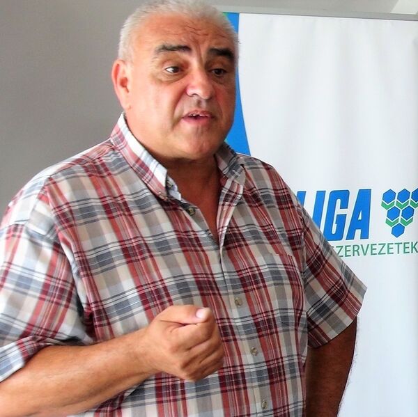 BKV: Csak 5 százalék lenne?