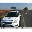 sztv_nov4.jpg