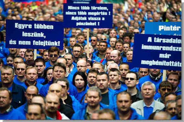 Hűség a kormányhoz