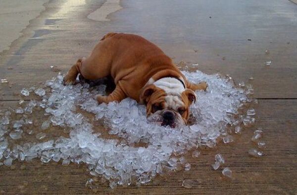 Melegben veszélyben a munkabiztonság