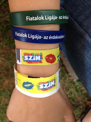 SZIN-esebbé tesszük az érdekvédelmet