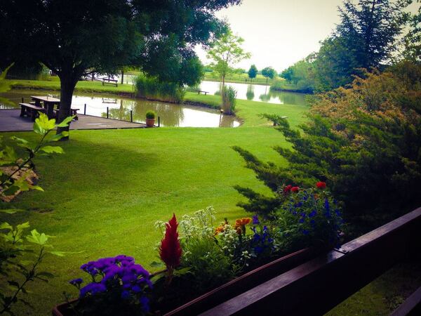 Nyári party Kecskeméten 